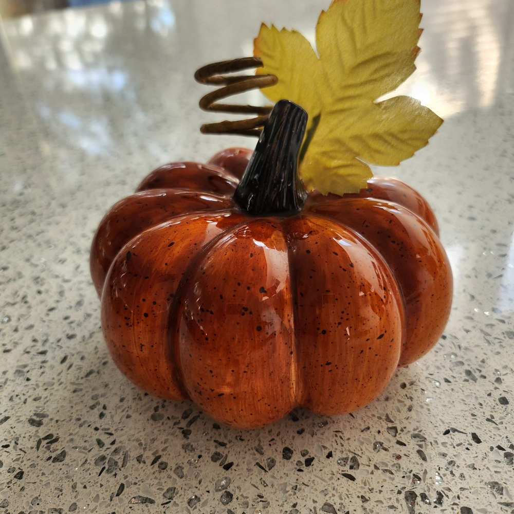 Autumn Glow Ceramic Pumpkin Decor - Orange